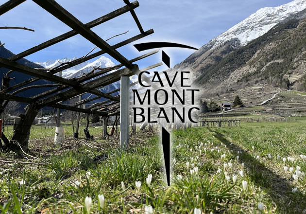 Caves Cooperative de Donnas